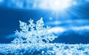 Snowy Snowy