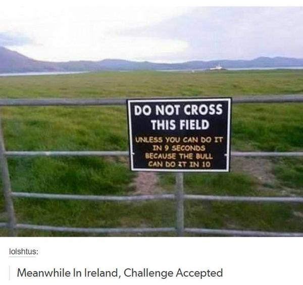 Meanwhile in Ireland