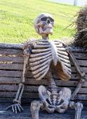 Waiting for drama to die