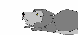 Sad, lonely Wolfie :(