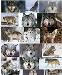 Favorite animal if you like wolfs star or like this photo