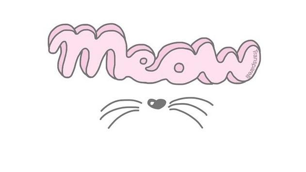 shirelle.cat shirelle.cat