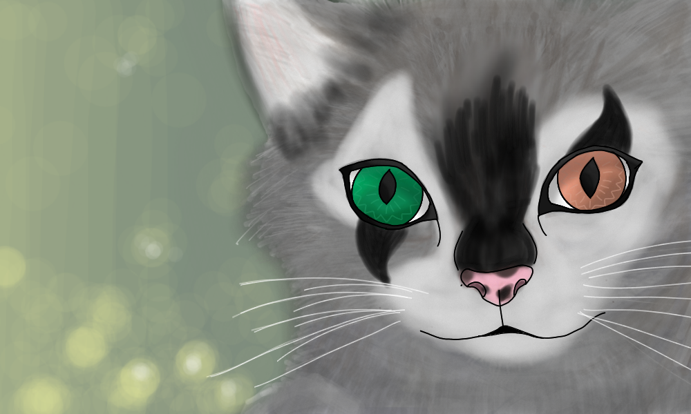 Kittyqueenxx Kittyqueenxx