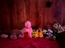 thats all my stuffed animals!!!!!!!! >W<
