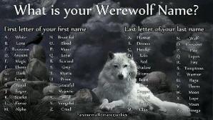 Mine is magic wolf