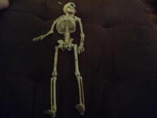 This is my skeleton. His name is Edward the Great