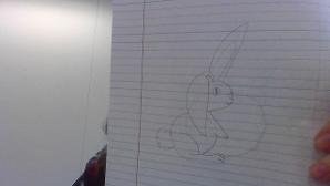 bunny i drew