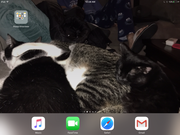 Lel my cats are my background
