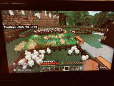 My shity farm in Minecraft qwq