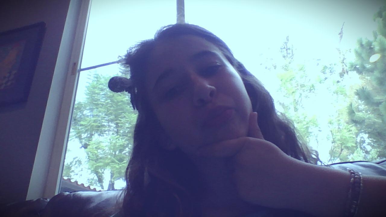 lbilgs lbilgs