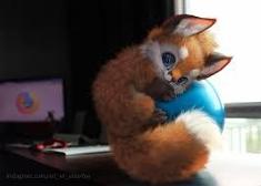 Im going to name him Travis The Fox XD