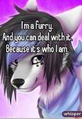 star if y'all support me and my furriness