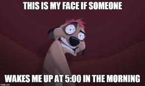 XD that actually would be my face in the mornings