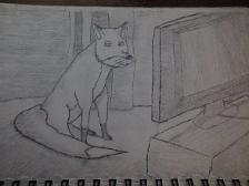 A Fox watching TV.