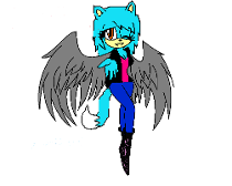 Decided to make a sonic OC. Angel the Wolf in Angel Form :)