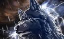 stormwolf09