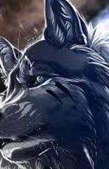 stormwolf09