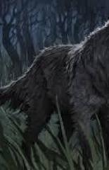 anglewolf