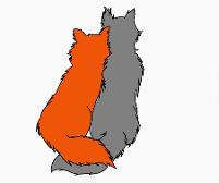 Fox & wolf