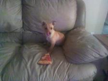 He eat pizza