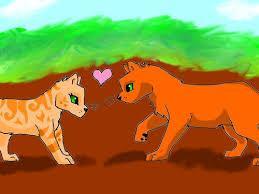 Sandstorm and Fireheart at first sight! :)