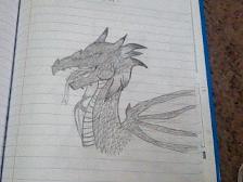 i drew a fire dragon :DDD [RATE PLZ]
