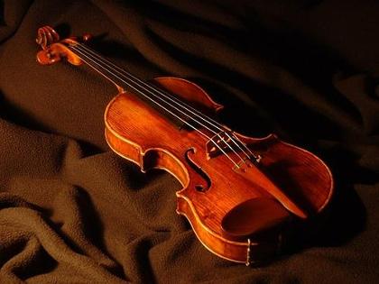 violinist's Photo
