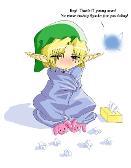 What self respecting male Hylian DOESN'T have a pair of pink bunny slippers?!?