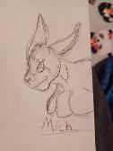 My Tmnt oc Mich he's a Bunny