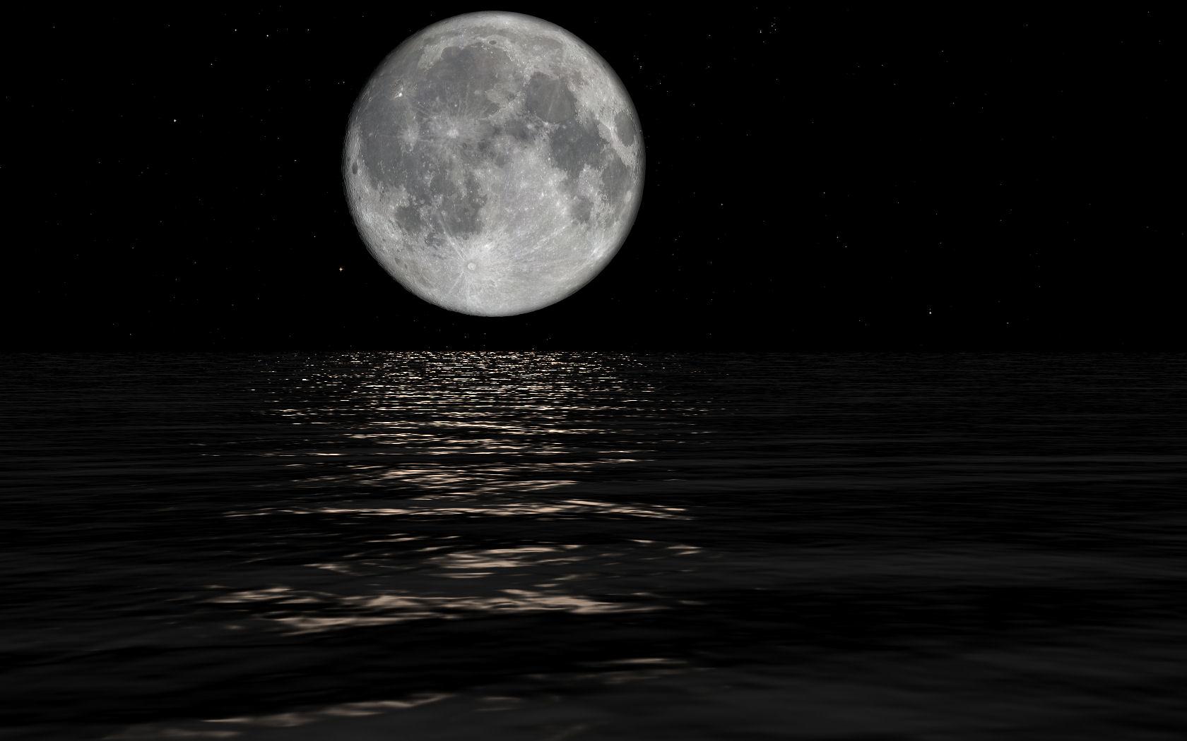 MidnightDreamer MidnightDreamer
