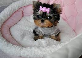 xoxlovexox xoxlovexox