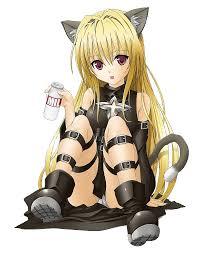 KittyClaw KittyClaw