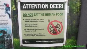 yEs dEeR rEaD THiS sIgn