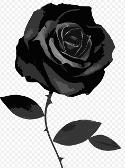 Black Rose = Insane Person = Me (The_Rose_Gamer)