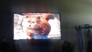 I'm watching Garfield the movie