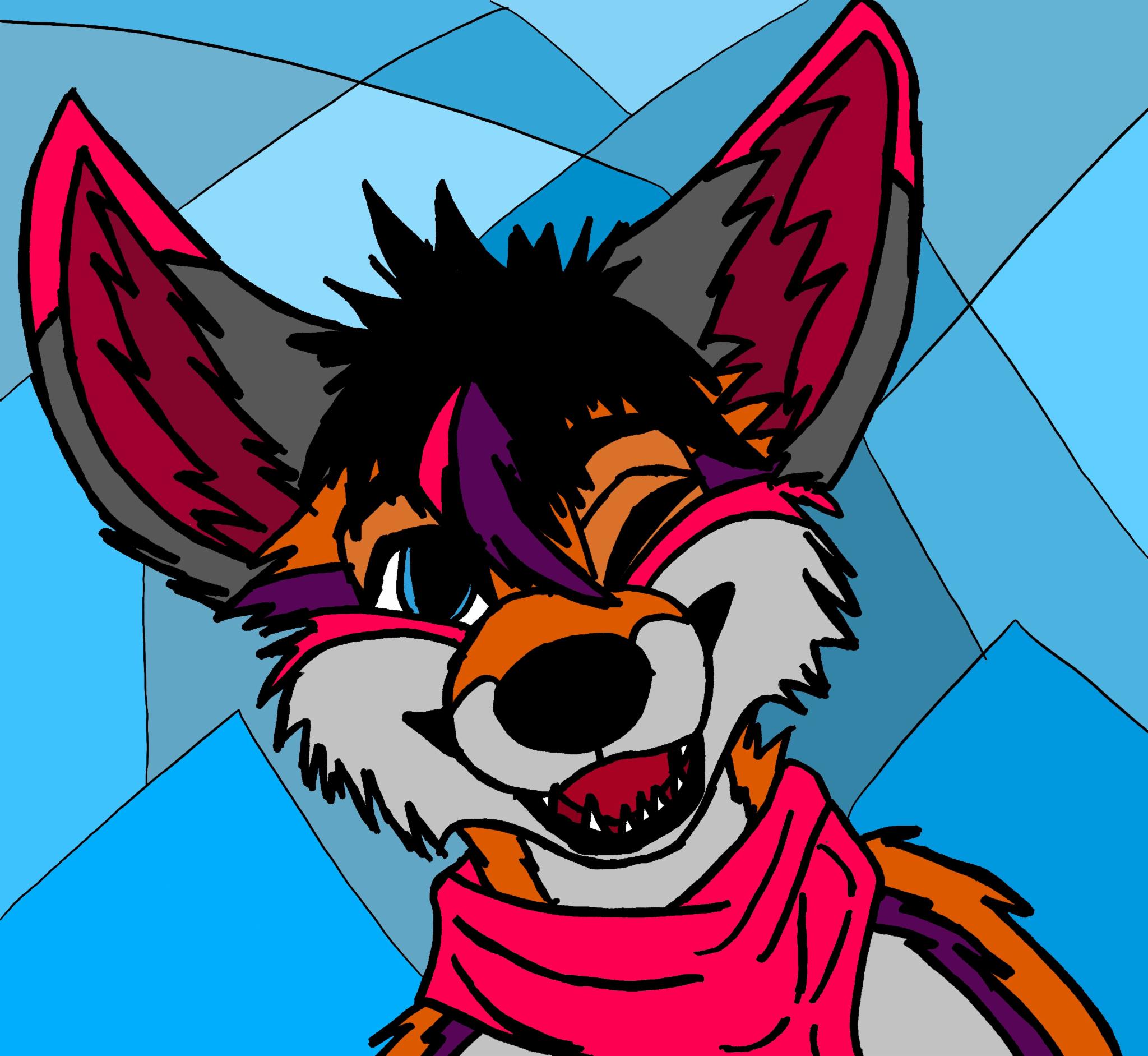 FoxyFox_Kota FoxyFox_Kota