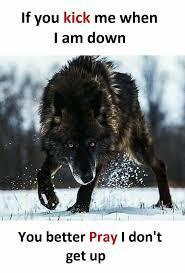 Darkwolves's Photo