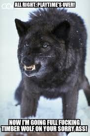 Darkwolves's Photo