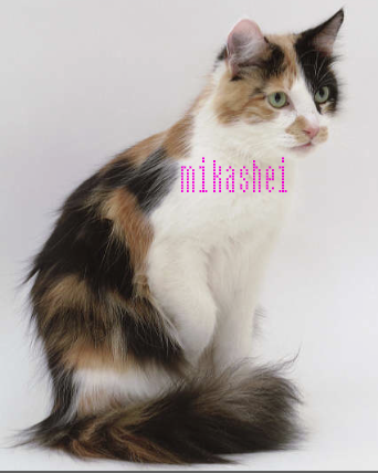 Mikashei Mikashei