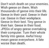 I wish geese upon some of you