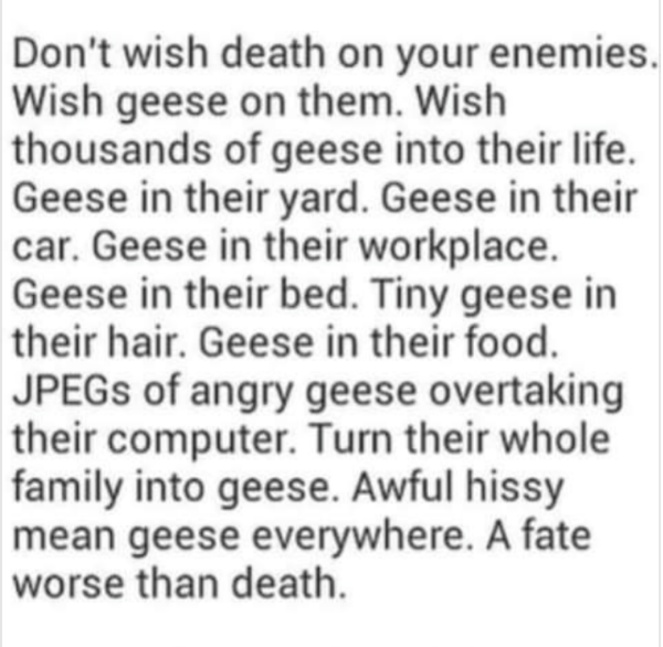 I wish geese upon some of you