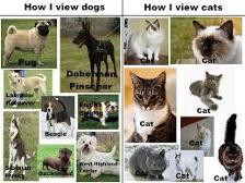 How I see dogs and cats.