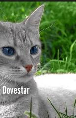 Dovestar_of_DoveClan