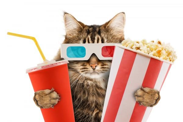 ArtisticMovie44 ArtisticMovie44