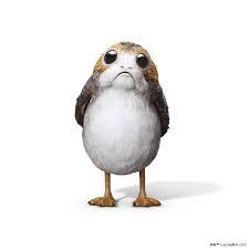 Hyperthehedgehog Hyperthehedgehog