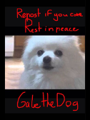 R.I.P. Gabe the dog D: