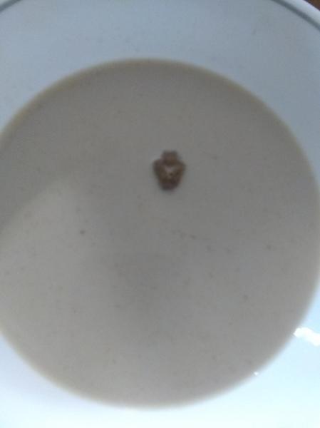 One sad piece of cereal