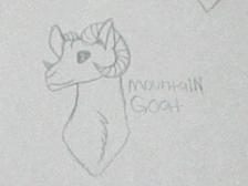 i drew a mountain goat :D