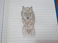 i drew a wolf :DDD PLZ RATE