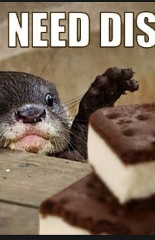 haveOtter